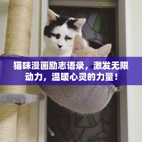 貓咪漫畫勵(lì)志語(yǔ)錄，激發(fā)無限動(dòng)力，溫暖心靈的力量！