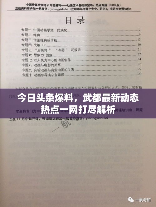 今日頭條爆料,武都最新動態(tài)熱點(diǎn)一網(wǎng)打盡解析