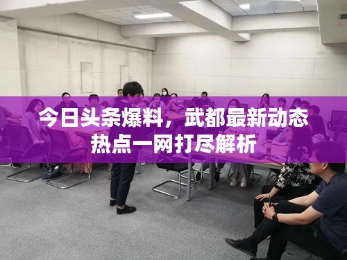 今日頭條爆料,武都最新動(dòng)態(tài)熱點(diǎn)一網(wǎng)打盡解析