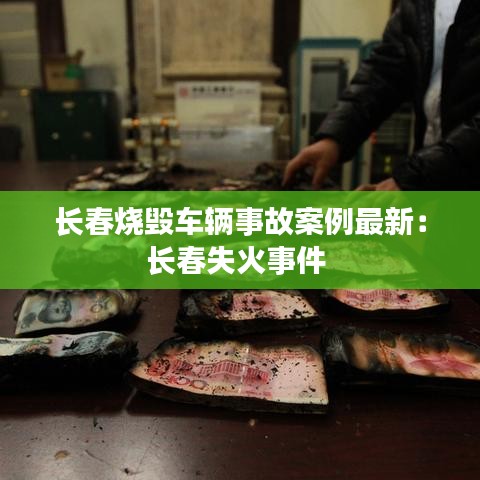 長春燒毀車輛事故案例最新:長春失火事件