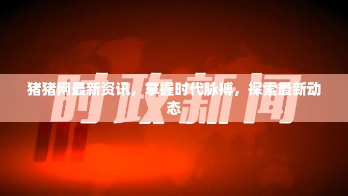 豬豬網最新資訊,掌握時代脈搏,探索最新動態