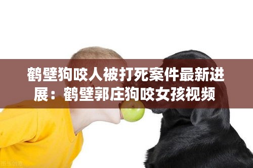 鶴壁狗咬人被打死案件最新進展:鶴壁郭莊狗咬女孩視頻