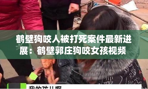 鶴壁狗咬人被打死案件最新進展:鶴壁郭莊狗咬女孩視頻