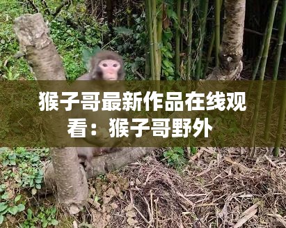 猴子哥最新作品在線觀看：猴子哥野外 