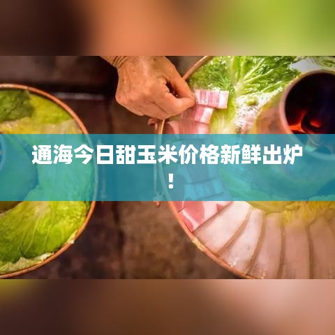 通海今日甜玉米價格新鮮出爐!