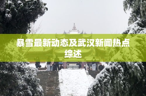 暴雪最新動態及武漢新聞熱點綜述