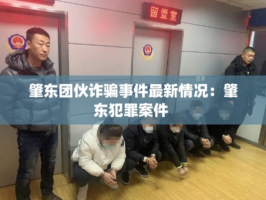 肇東團伙詐騙事件最新情況：肇東犯罪案件 