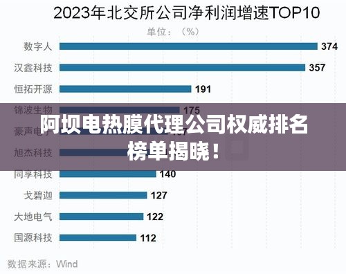 阿壩電熱膜代理公司權威排名榜單揭曉！
