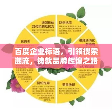百度企業(yè)標(biāo)語(yǔ),引領(lǐng)搜索潮流,鑄就品牌輝煌之路