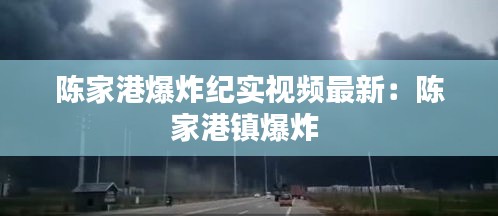 陳家港爆炸紀實視頻最新：陳家港鎮爆炸 
