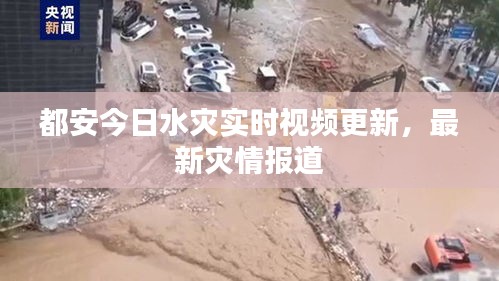 都安今日水災實時視頻更新，最新災情報道