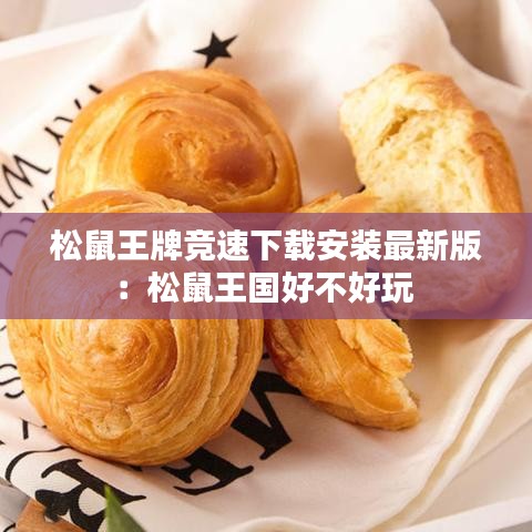 松鼠王牌競速下載安裝最新版：松鼠王國好不好玩 