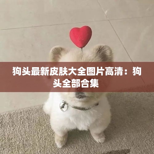 狗頭最新皮膚大全圖片高清:狗頭全部合集