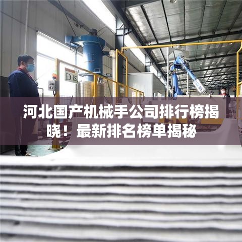 河北國產機械手公司排行榜揭曉！最新排名榜單揭秘