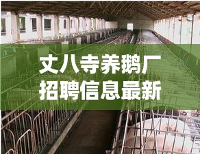 丈八寺養鵝廠招聘信息最新：丈八廟是什么廟 