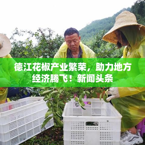 德江花椒產業繁榮,助力地方經濟騰飛!新聞頭條