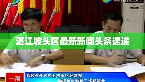 湛江坡頭區最新新聞頭條速遞