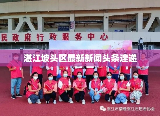 湛江坡頭區最新新聞頭條速遞