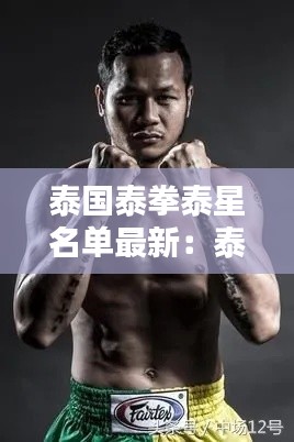 泰國泰拳泰星名單最新:泰國著名泰拳王