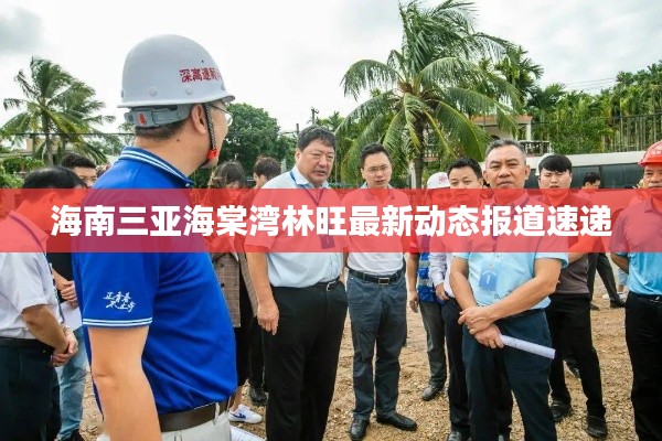 海南三亞海棠灣林旺最新動態(tài)報道速遞