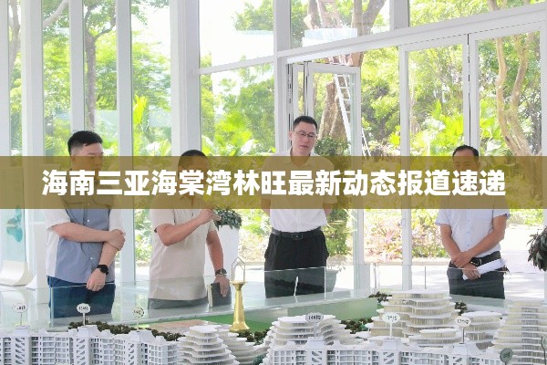 海南三亞海棠灣林旺最新動態報道速遞