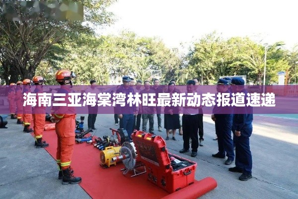 海南三亞海棠灣林旺最新動態報道速遞