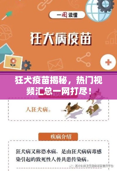 狂犬疫苗揭秘，熱門視頻匯總一網打盡！