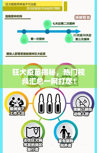 狂犬疫苗揭秘,熱門視頻匯總一網打盡!