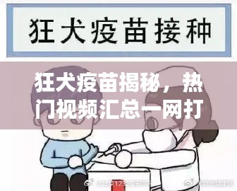 狂犬疫苗揭秘,熱門視頻匯總一網打盡!