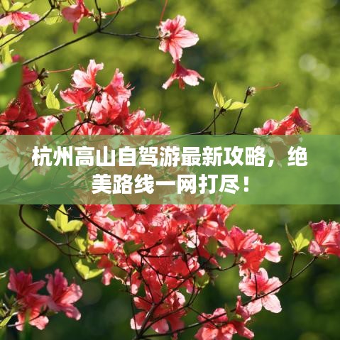 杭州高山自駕游最新攻略,絕美路線一網打盡!