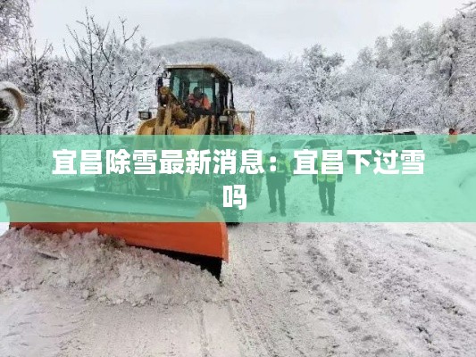 宜昌除雪最新消息:宜昌下過雪嗎