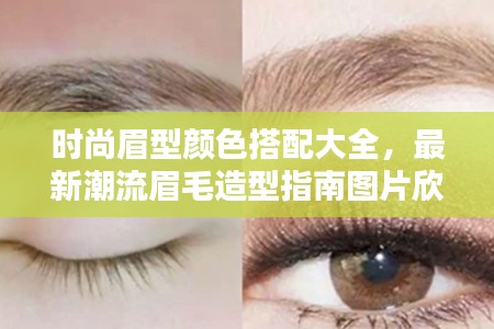 時尚眉型顏色搭配大全,最新潮流眉毛造型指南圖片欣賞