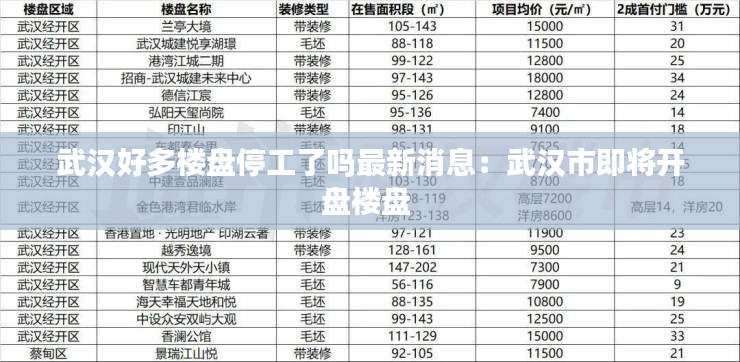 武漢好多樓盤停工了嗎最新消息:武漢市即將開盤樓盤