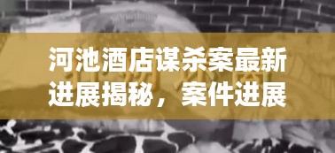 河池酒店謀殺案最新進展揭秘,案件進展令人震驚,真相逐漸浮出水面