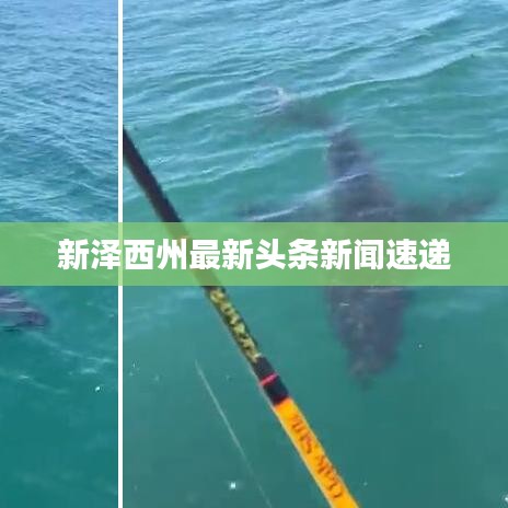 新澤西州最新頭條新聞速遞