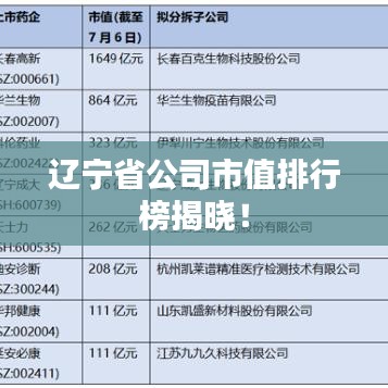 遼寧省公司市值排行榜揭曉!