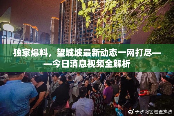 獨家爆料，望城坡最新動態一網打盡——今日消息視頻全解析