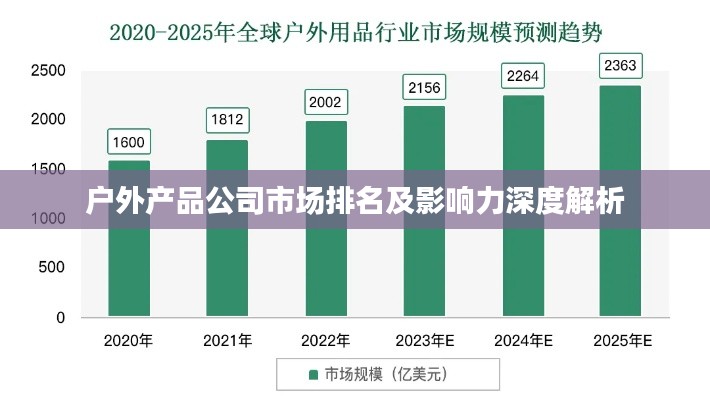 戶外產品公司市場排名及影響力深度解析