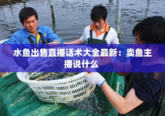 水魚出售直播話術(shù)大全最新:賣魚主播說什么