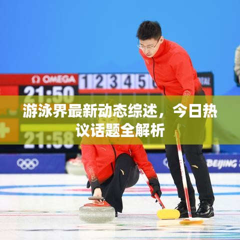 游泳界最新動態綜述,今日熱議話題全解析