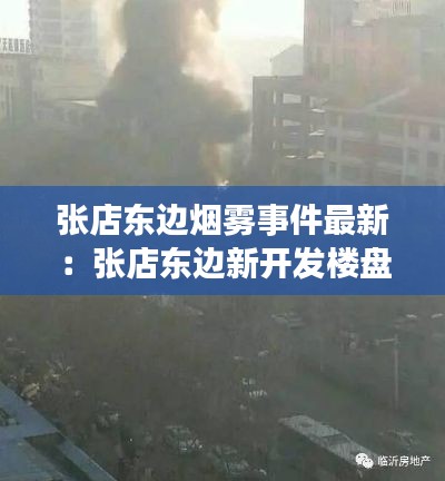 張店東邊煙霧事件最新：張店東邊新開發樓盤價格 