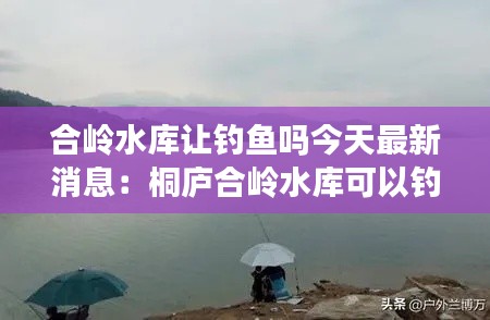 合嶺水庫讓釣魚嗎今天最新消息:桐廬合嶺水庫可以釣魚嗎