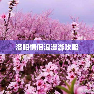 洛陽(yáng)情侶浪漫游攻略