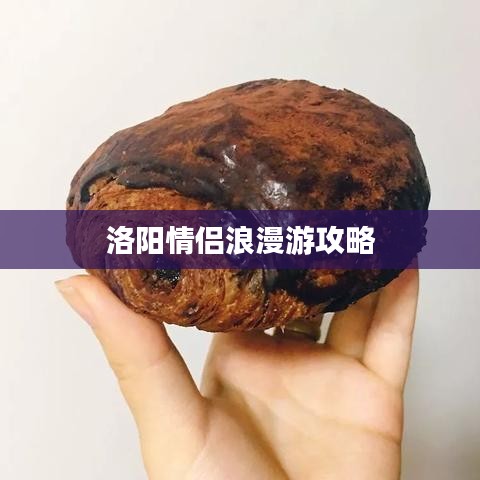 洛陽(yáng)情侶浪漫游攻略