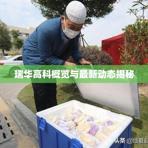 瑞華高科概覽與最新動態揭秘