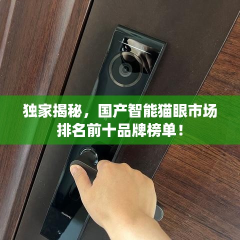 獨家揭秘，國產智能貓眼市場排名前十品牌榜單！