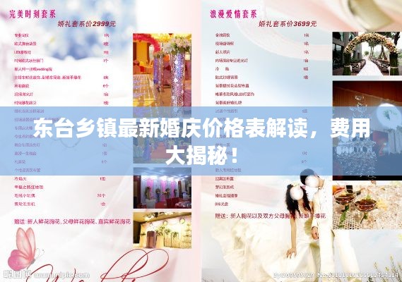 東臺鄉(xiāng)鎮(zhèn)最新婚慶價格表解讀,費用大揭秘!