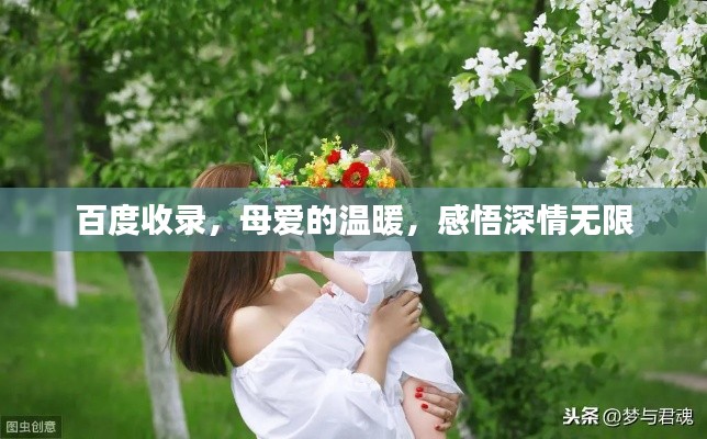 百度收錄，母愛的溫暖，感悟深情無限