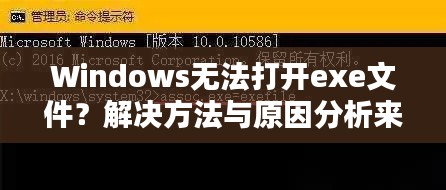 Windows無法打開exe文件？解決方法與原因分析來幫你解決！