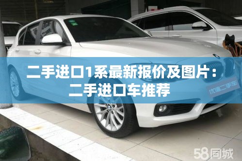 二手進(jìn)口1系最新報(bào)價(jià)及圖片：二手進(jìn)口車推薦 
